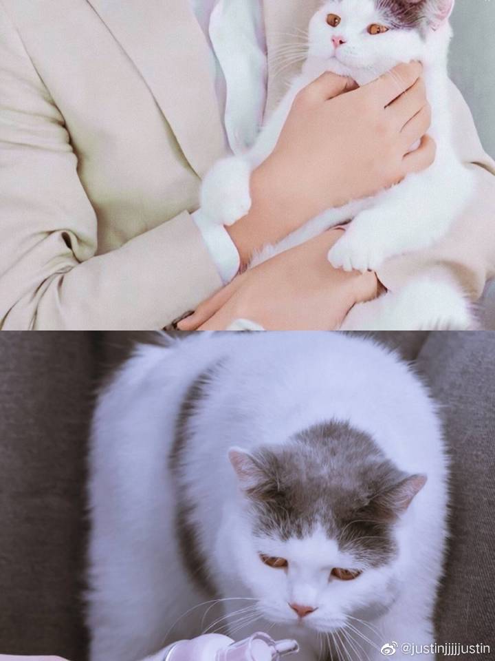 justin饭制壁纸六宫格可盐可甜气场多变撩动少女心