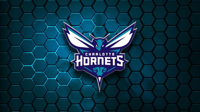 黄蜂队logo是一个设计得非常完美的logo,一只眼神犀利的黄蜂与队名"