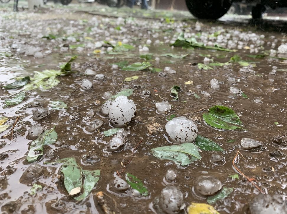 5月26日,在武清, 一颗颗冰雹从天而降