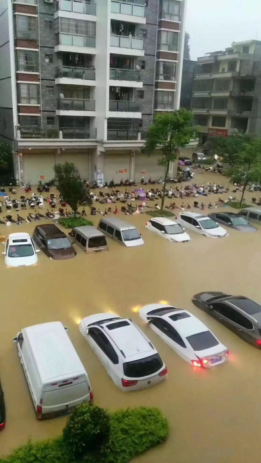 东莞明后天有大暴雨!请记下最新的停课指引!