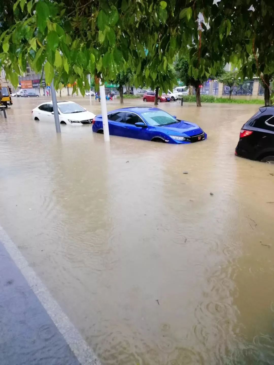 实时更新珠海暴雨红色预警生效视频多图水浸情况实时直播中