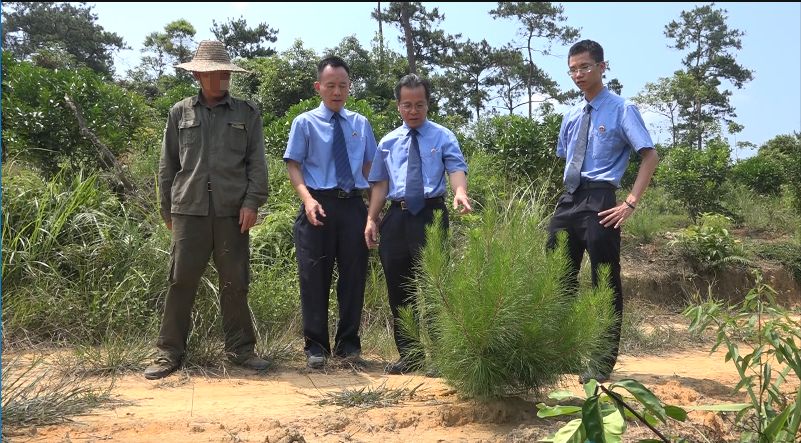 同一天,检察干警还驱车去到上思县叫安镇双板村那驴屯"雷文山",实地