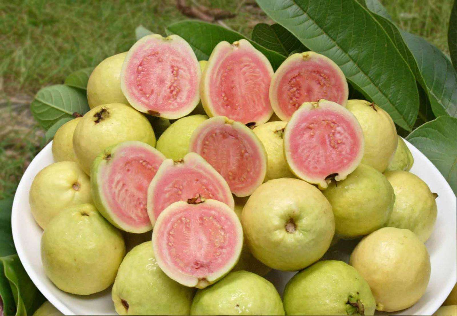 这些南方水果美味可口难怪很多人都很羡慕南方太好吃了