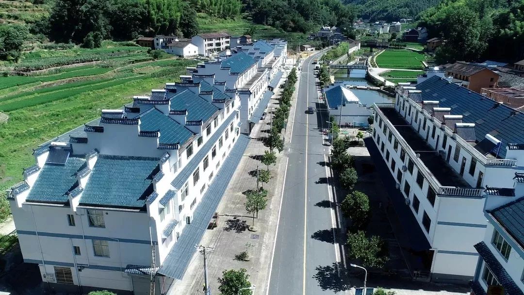 龙泉双十佳优秀村社干部丨城北乡东书村村委会主任陈正丰做活美丽村庄