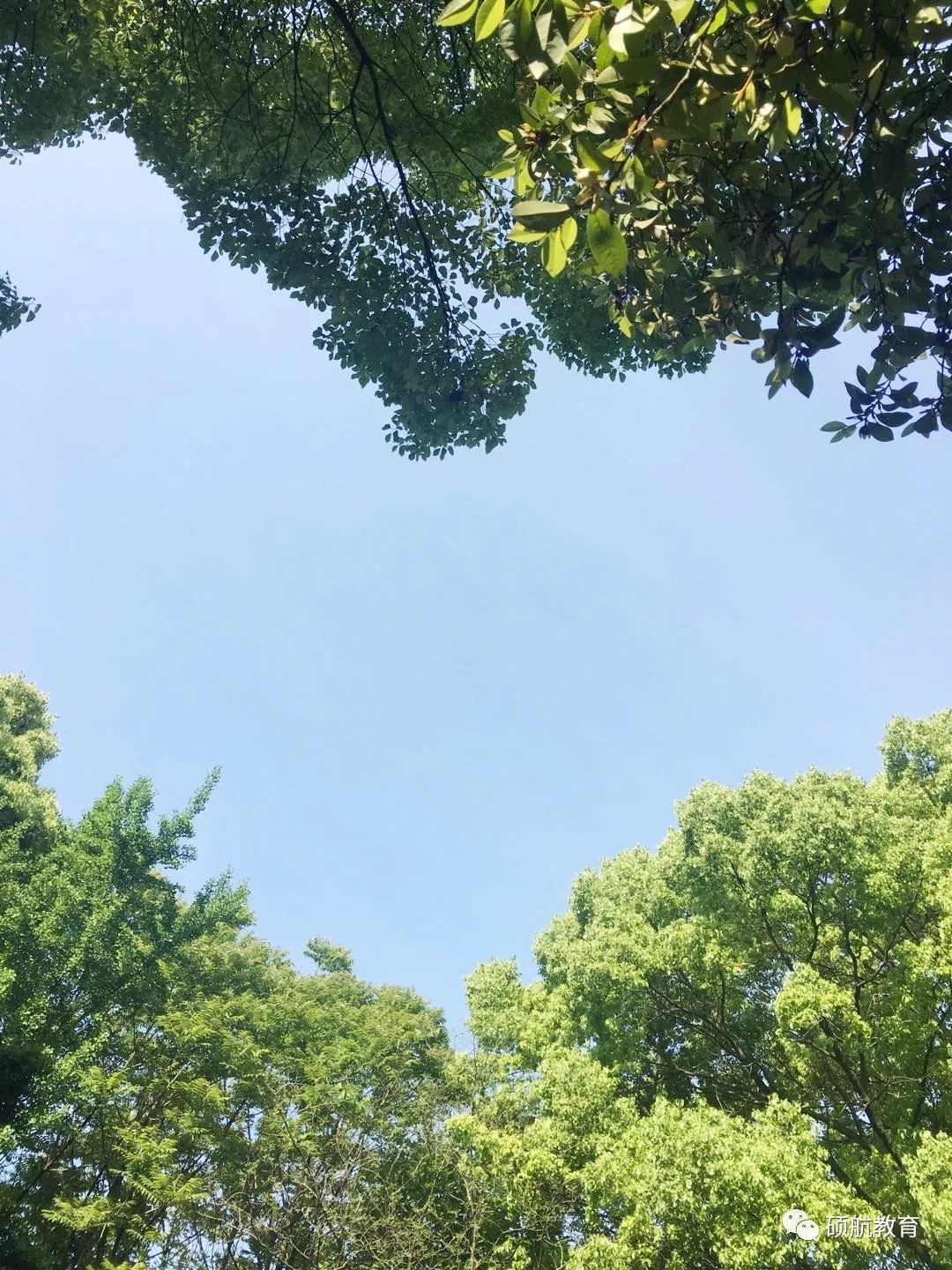 作品简述晨练结束后坐在古钟园座椅上仰望天空看到了这颗爱心只要