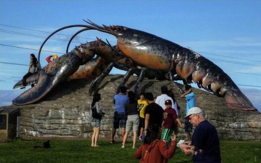 世界上最大的 来自搜狐网