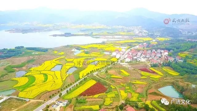 己亥年立夏後的第二天,我有幸和梅川幾位大才女一路去餘川仙人湖遊覽