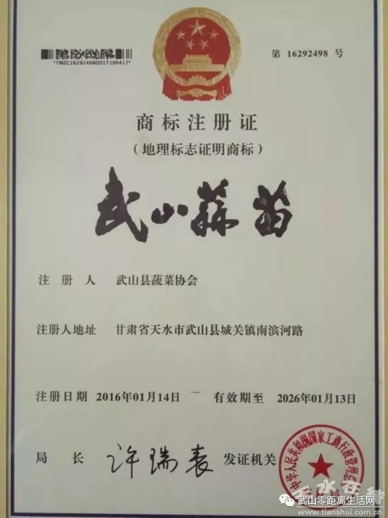 给力我县蔬菜产业发展形势一片大好