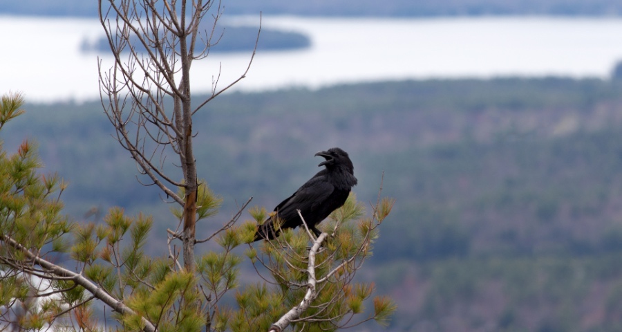 家电业不能打低价“钻地板”，还得转战解决方案冲破“天花板”-家电圈官网