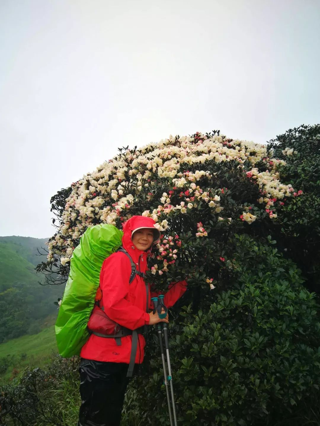 送自己一座山轻装船底顶踏春赏花