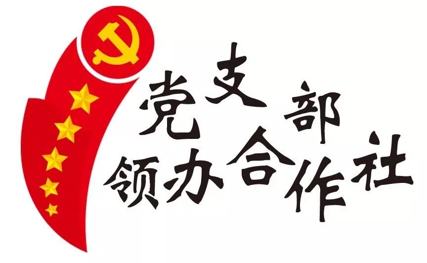 党支部领办合作社莱阳市穴坊镇泉水头村支部领办合作社因地制宜促发展