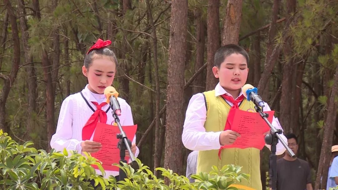 鹤庆县云鹤镇中心小学图片