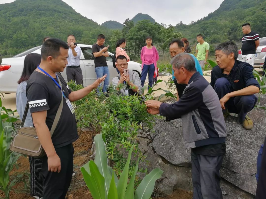 【民生】科技下乡活动走进乐平镇岩上村