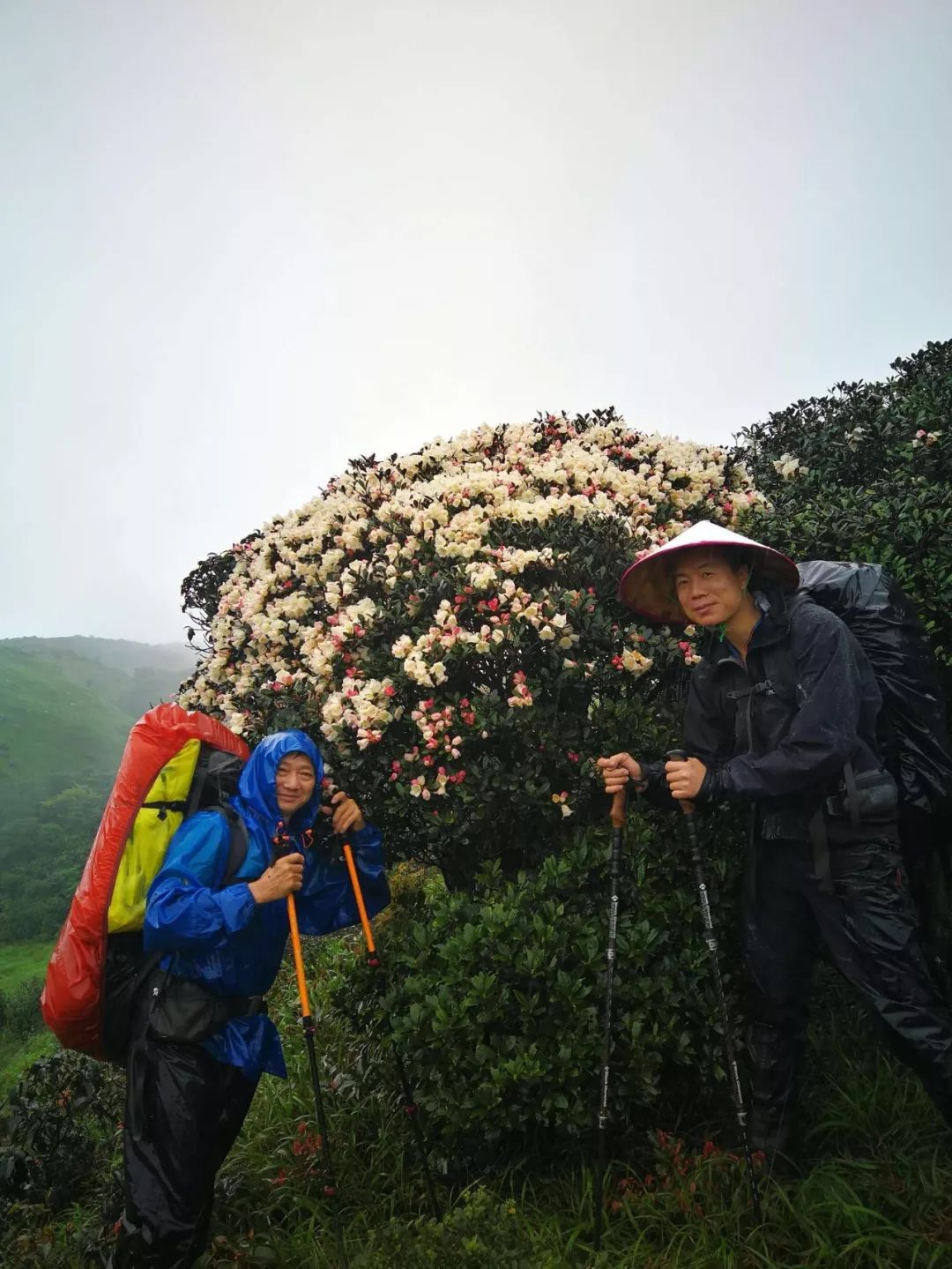 送自己一座山轻装船底顶踏春赏花