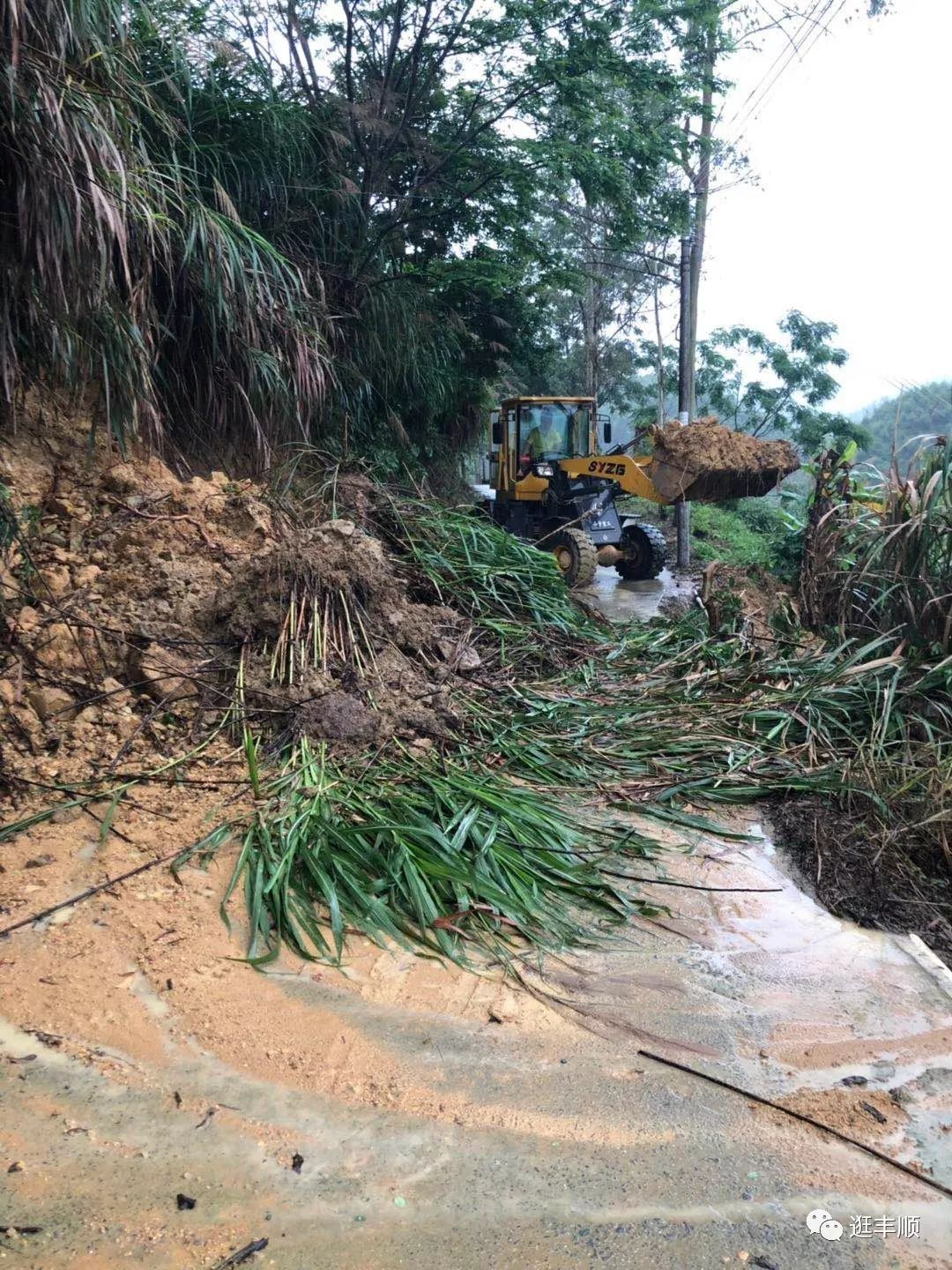 直击汤坑汤西北斗丰良八乡大暴雨