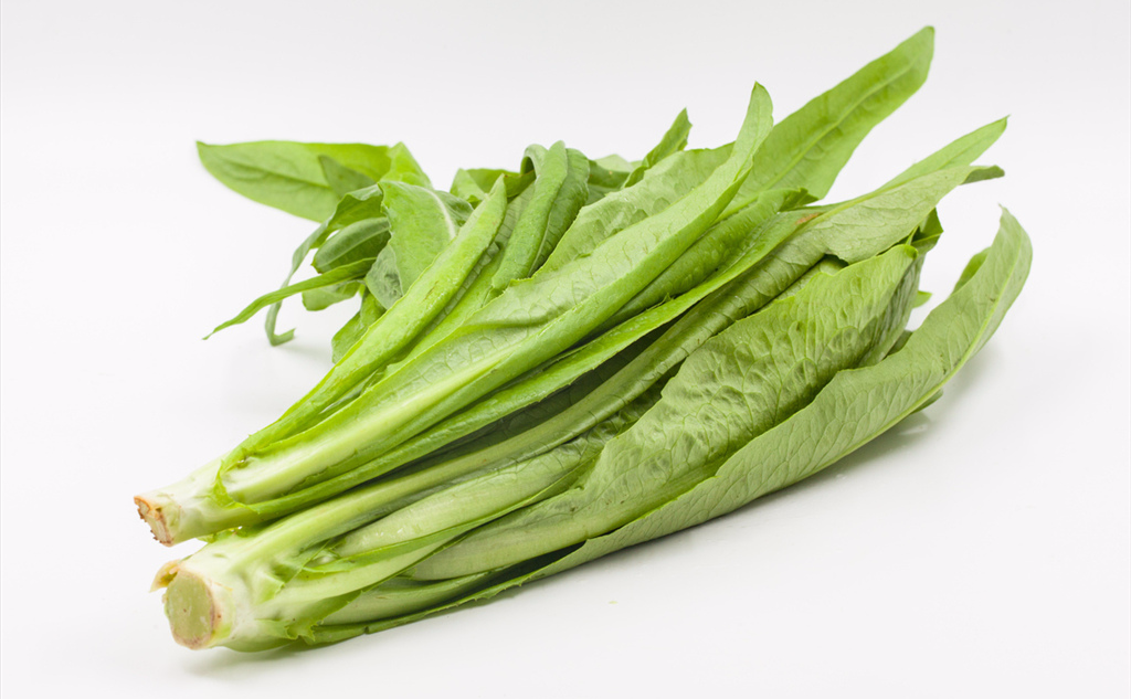 油麦菜还可以称它尖叶生菜或者叶用莴苣.我们吃莴苣吃的是茎,而油