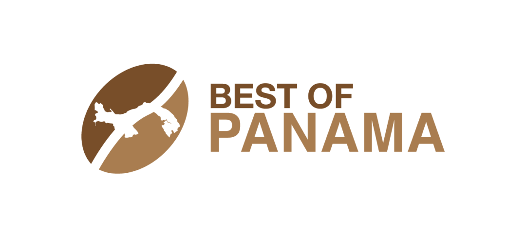 2019最佳巴拿马bop赛事结果一览