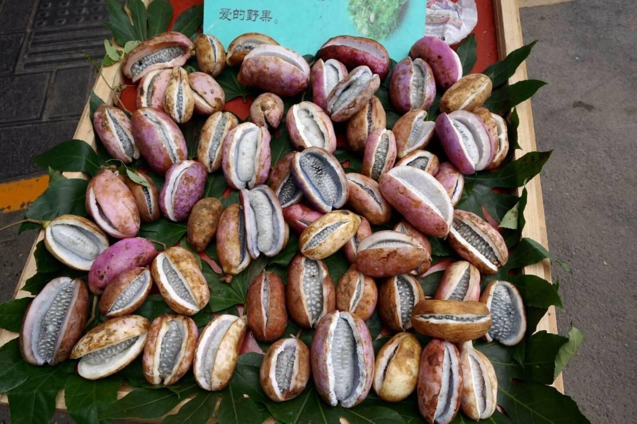 亩产4千斤,过去是农村娃的零食,营养高,如今5元一个成稀罕水果_野果