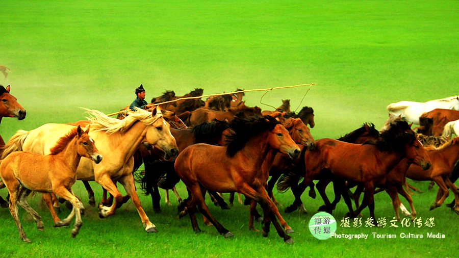 行走在内蒙古:呼伦贝尔大草原,体验游牧民族独特风情的草原牧场