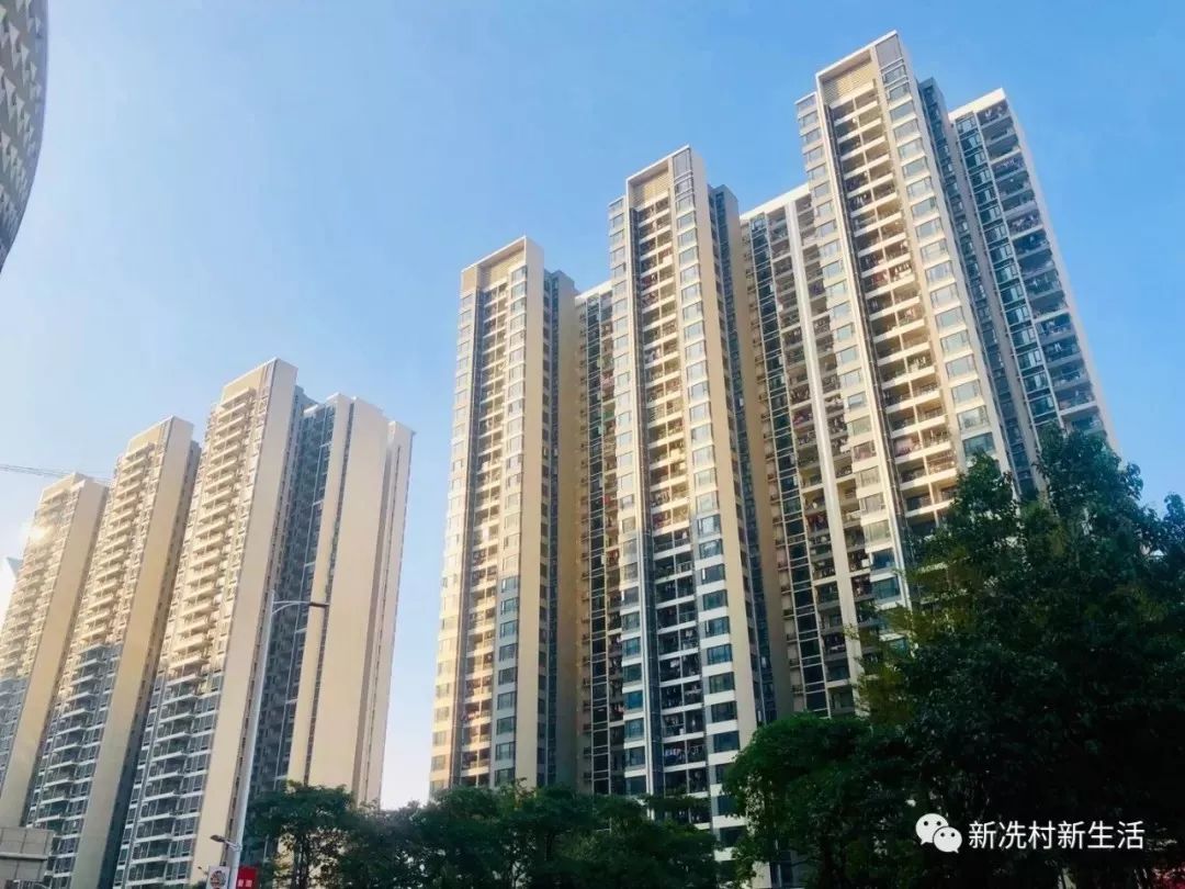 又一批冼村村民要回家了冼村二期今天起摇珠分房