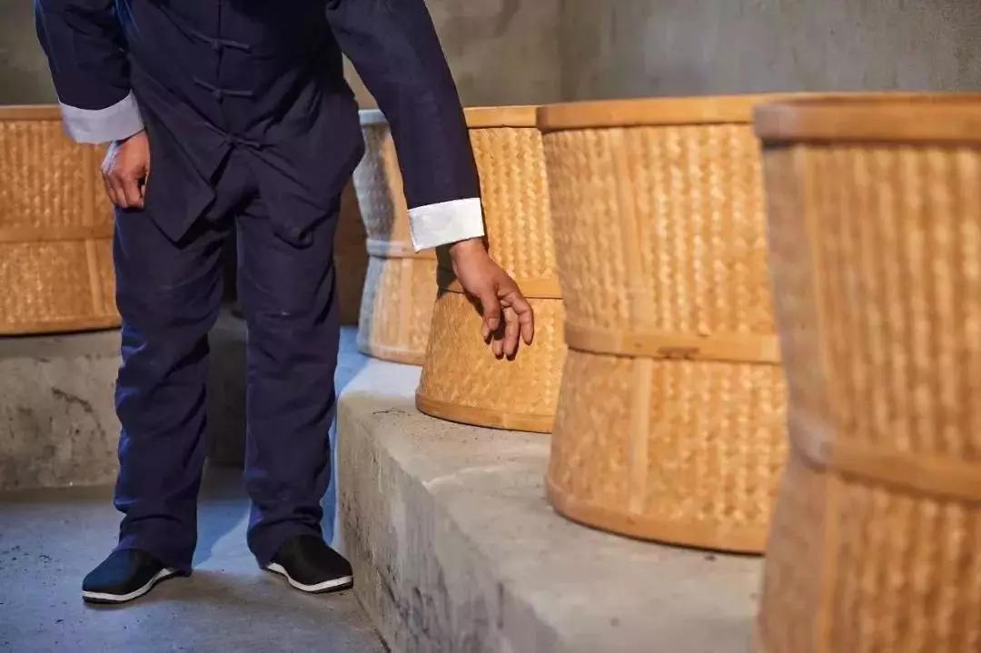 茶的工夫与功夫丛与枞再也不会错了