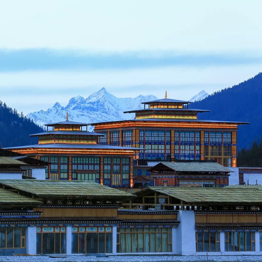 鲁朗国际旅游小镇迎接八方来客的前厅——南区远远望去庄严的金顶雕花