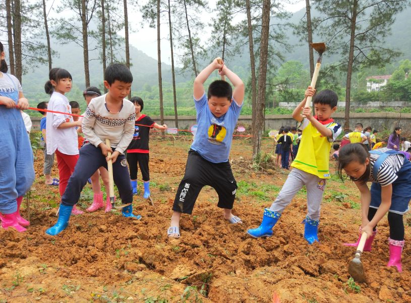 播种希望 收获未来 ——记三年级农耕种植活动