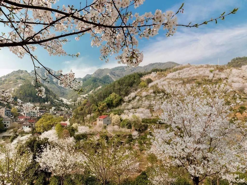 【亮点·交流】嵊州市北漳镇小城镇整治出实招有实效