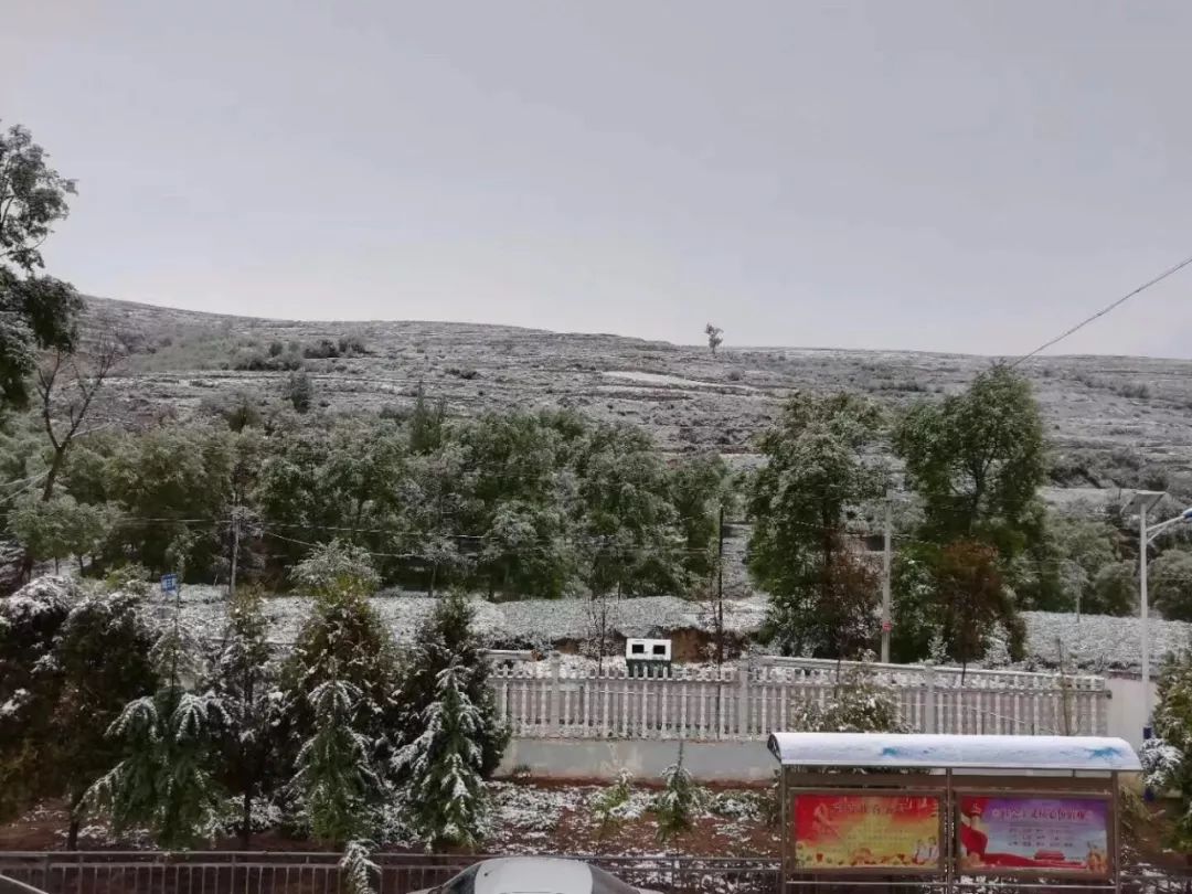 五月飛雪甘肅這些地方下雪了一大波雪景圖來襲視頻