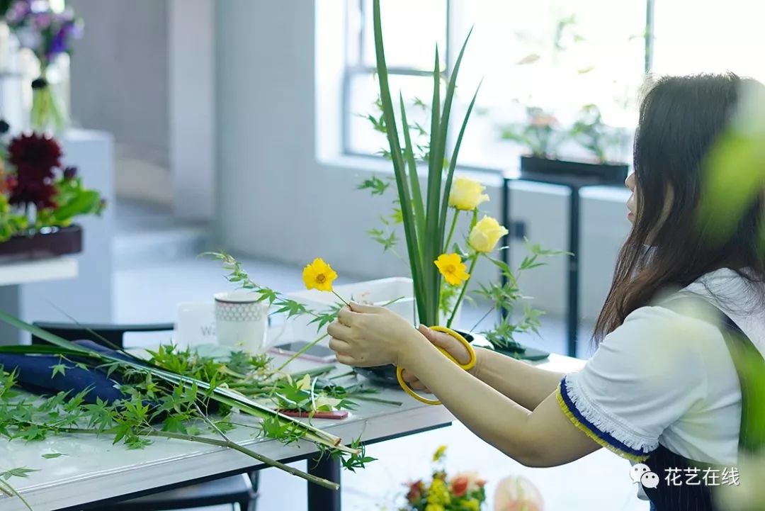 全世界都以欧式插花为流行时欧洲的花艺师在学习什么