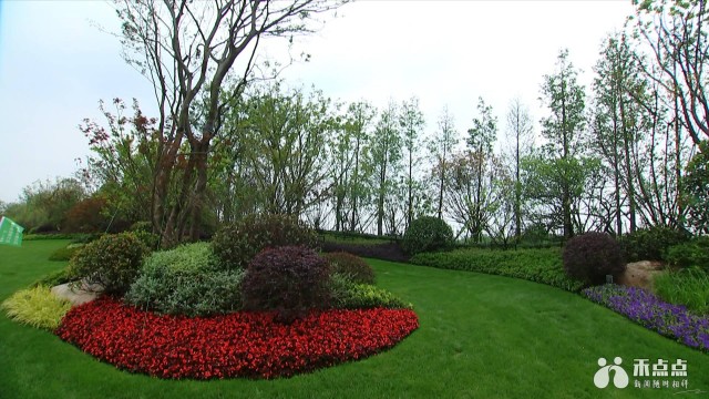 毛宏芳调研市区高速出入口环境绿化提升工作