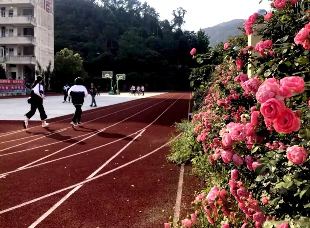 作为乐清市第一所公办的新居民初中,学校现有两幢教学楼,一栋学生宿舍