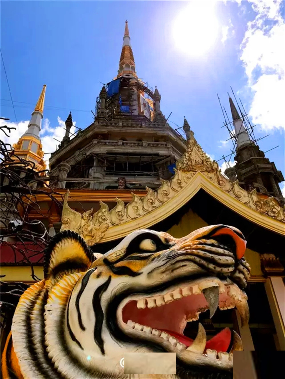 原创小天独家,泰国最大的泳池就在甲米