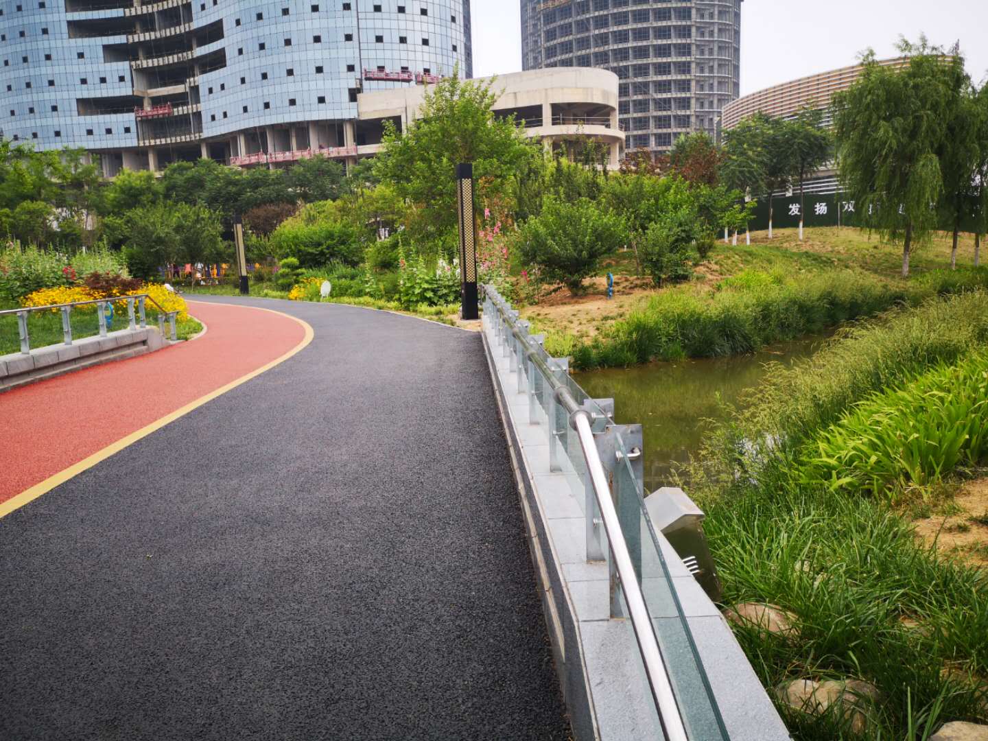 原創鵝在水中游人在畫中行好一幅夏景圖納涼好去處