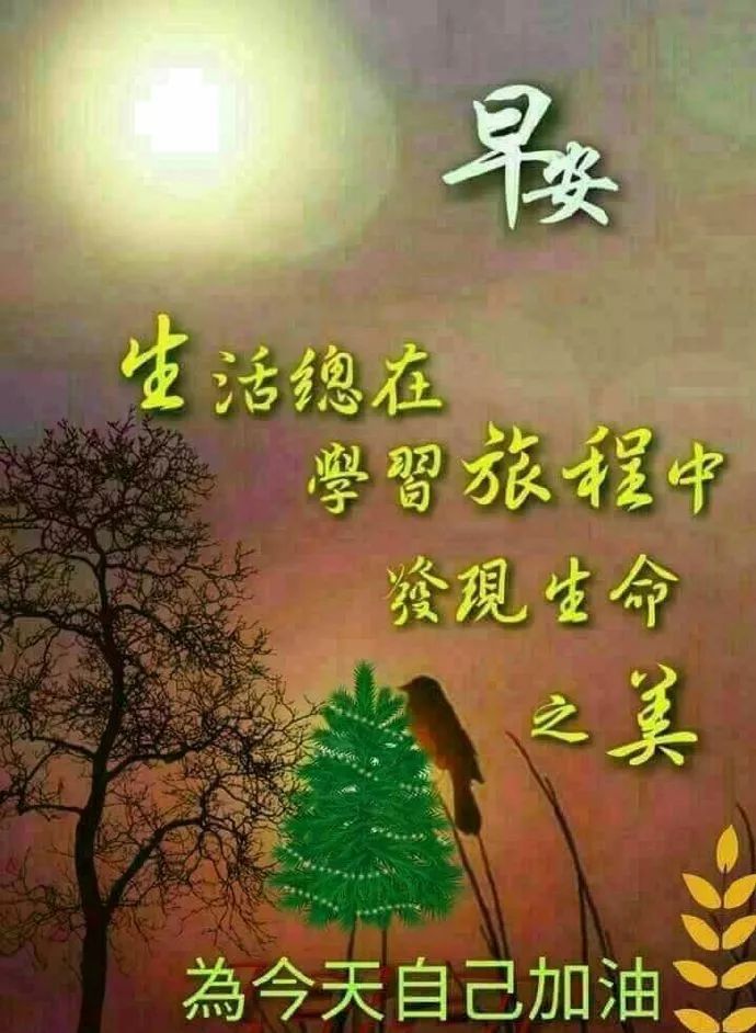 新版漂亮的早上好祝福语图片顶级早上好动态图加问候句子
