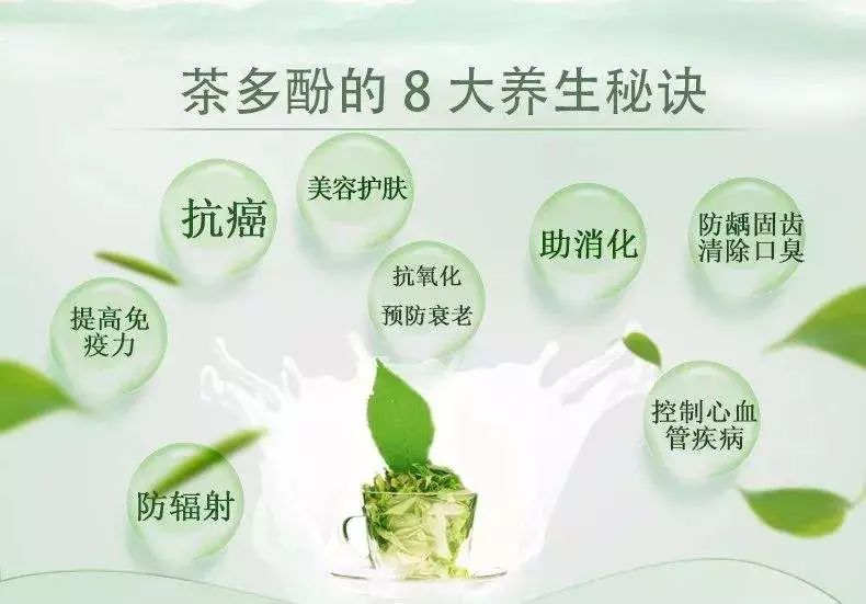 經常聽到茶多酚你真的知道這個詞是什麼意思嗎