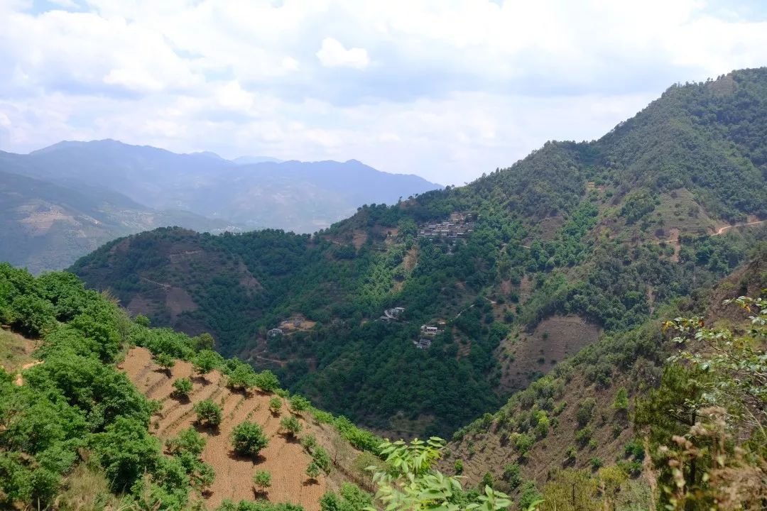 尽锐出战决胜云龙民建乡背阴村不背阴苗寨蜕变展新颜