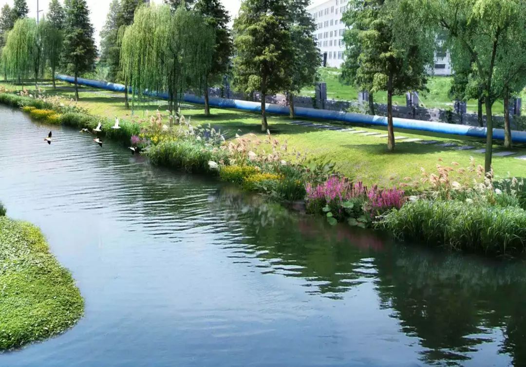 "八九十"攻坚战(三) | 打造游步道,滨水游乐园