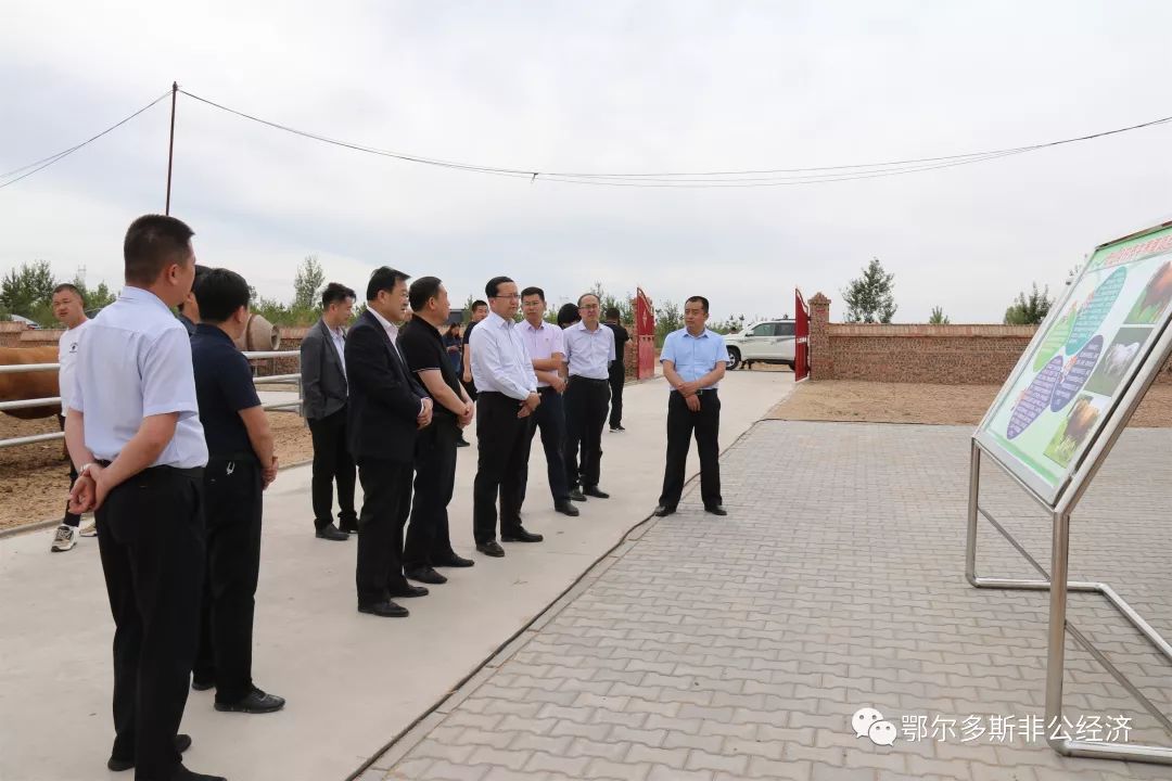 高占胜赴准格尔旗调研百企帮百村精准脱贫行动