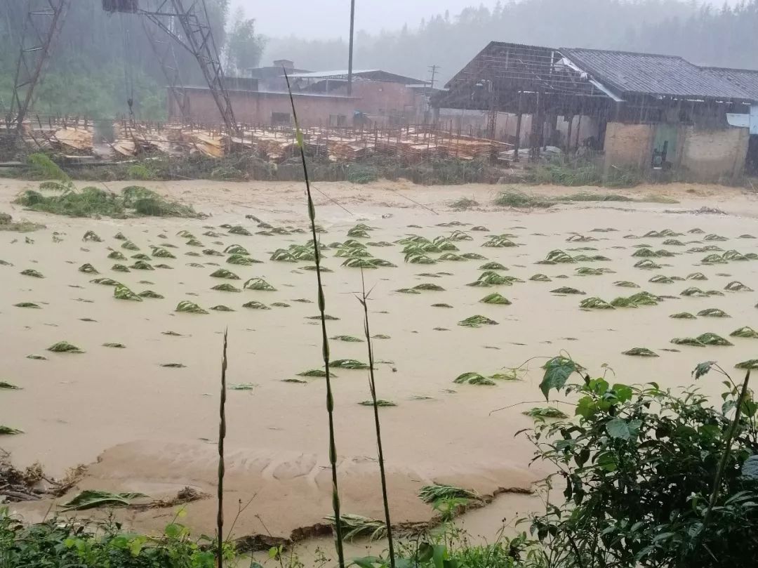 明溪夏阳乡516特大暴雨灾情概况