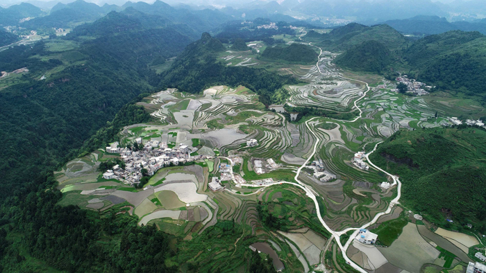 贵州龙里大新村梯田图片