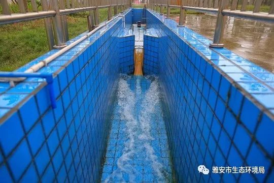 生活污水处理设备