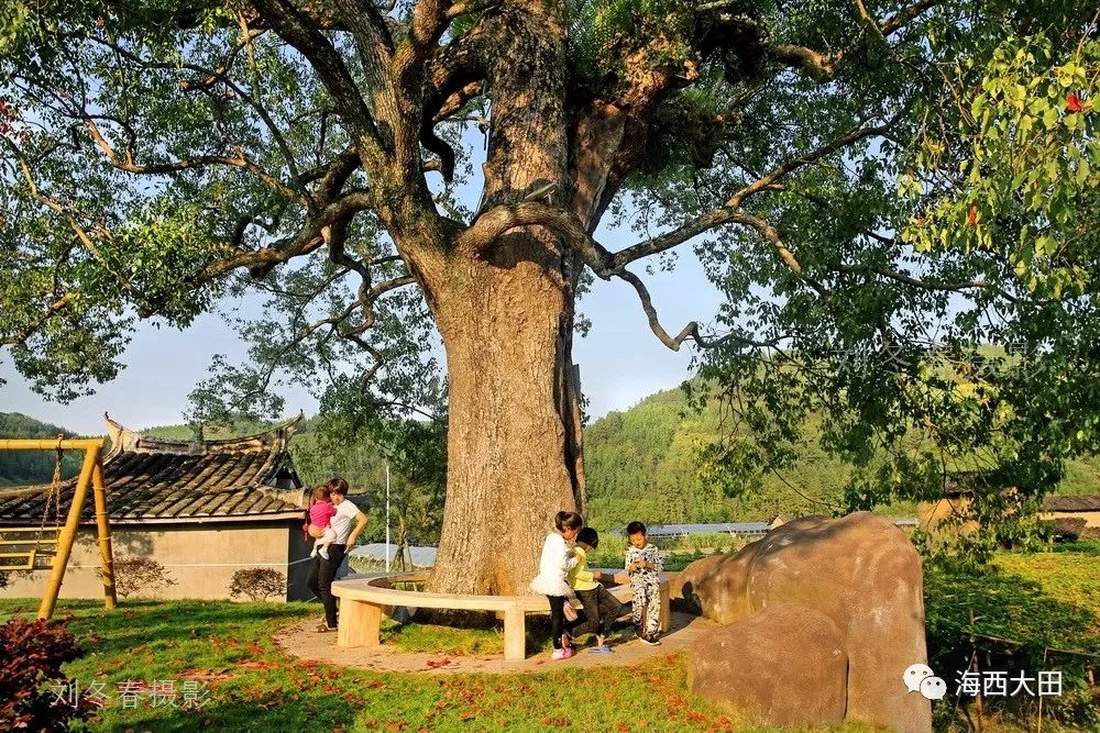 新農村建設,生態村建設使整個村人文和諧,村容整潔,佈局合理,綠化美化