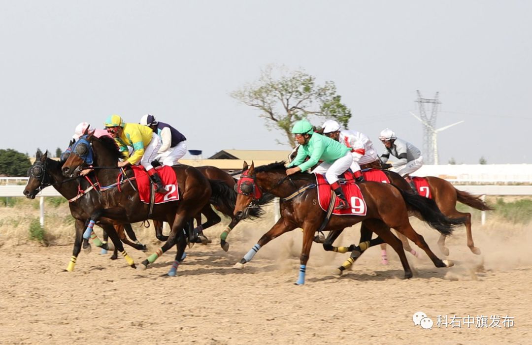 来源:科右中旗发布策划:陈秀珍编辑:白杨联系方式