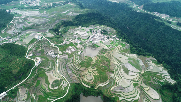 贵州龙里大新村梯田图片