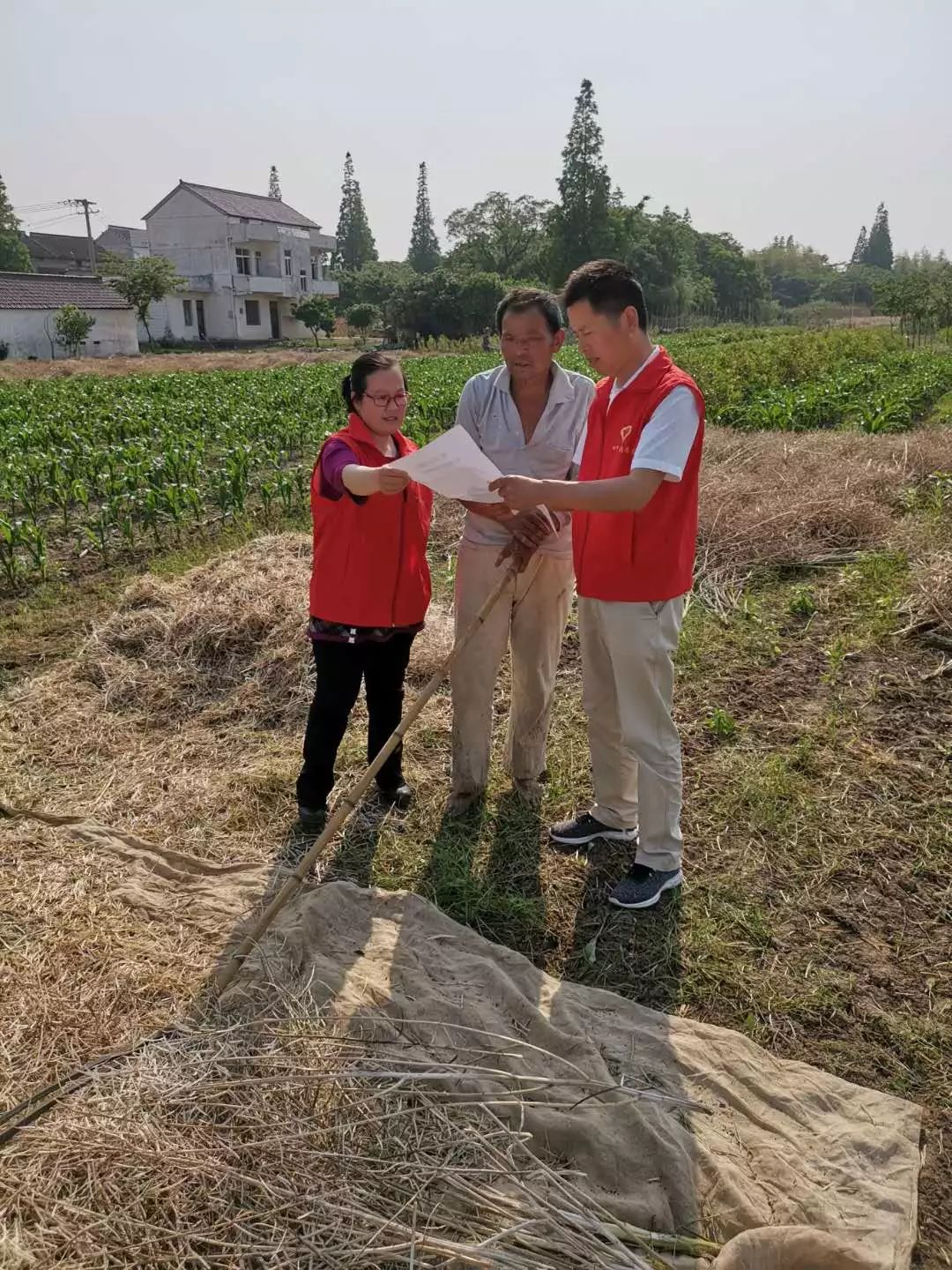 新时代文明实践四甲镇廷俊村组织志愿者宣传秸秆禁烧