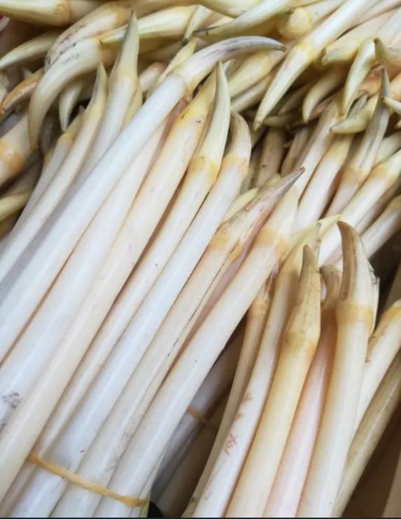 (藕心菜)生活的剧本总是把美好桥段留给有信念的人,就像孙长发夫妇