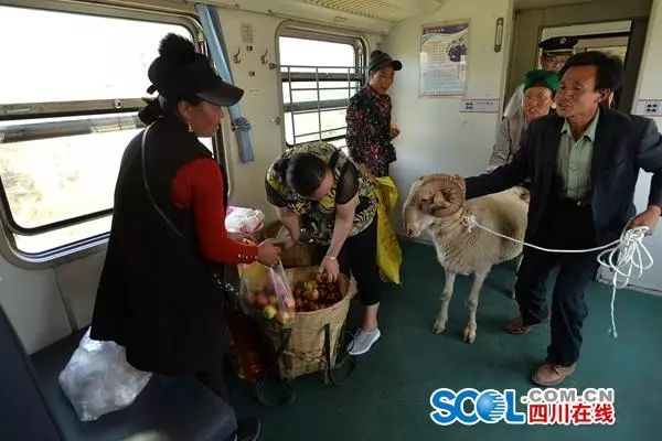 翁古木且是喜德縣沙馬拉達鄉拉達村建檔立卡貧困戶.