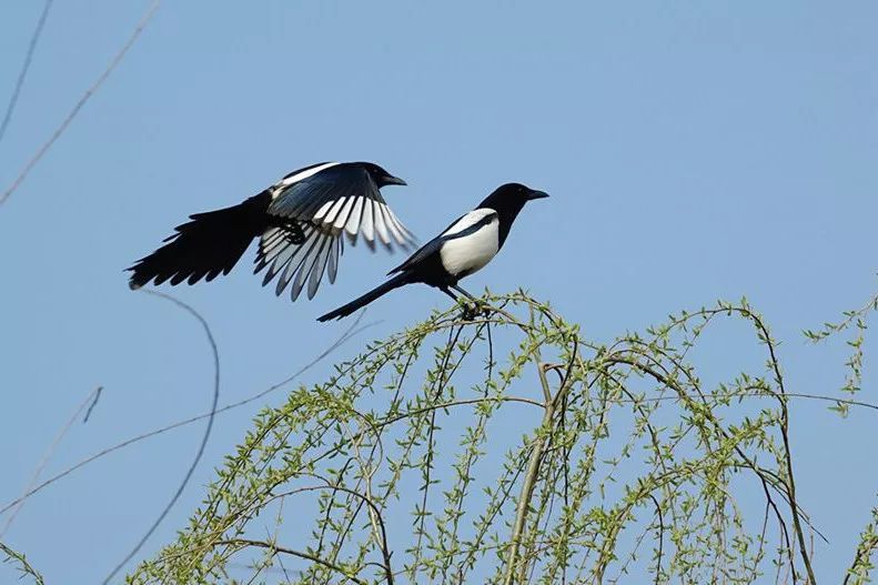 请收下这份倍儿爽的清凉问候_公大心