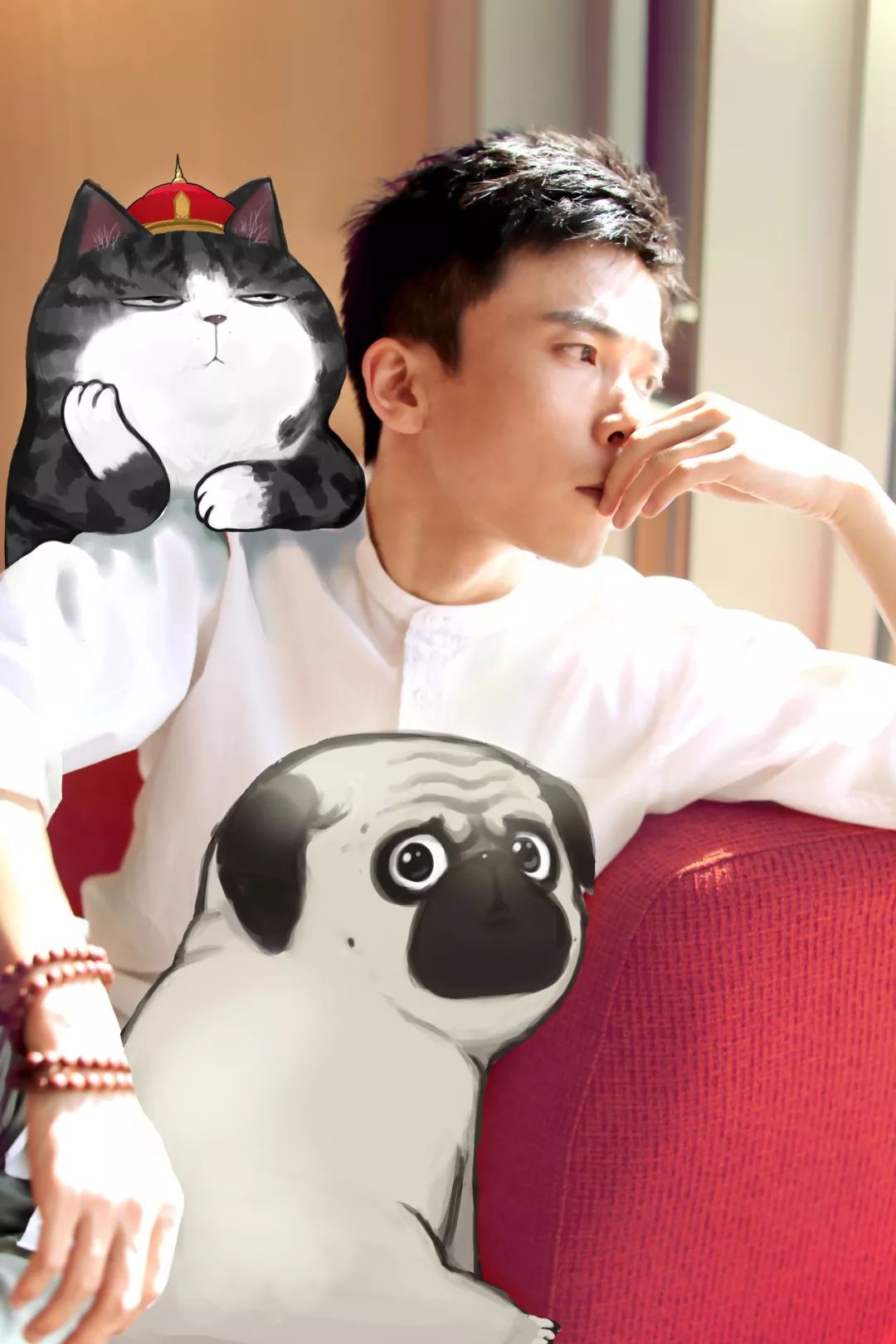 吾皇驾到200w粉丝的网红萌宠吾皇终于来郑州了